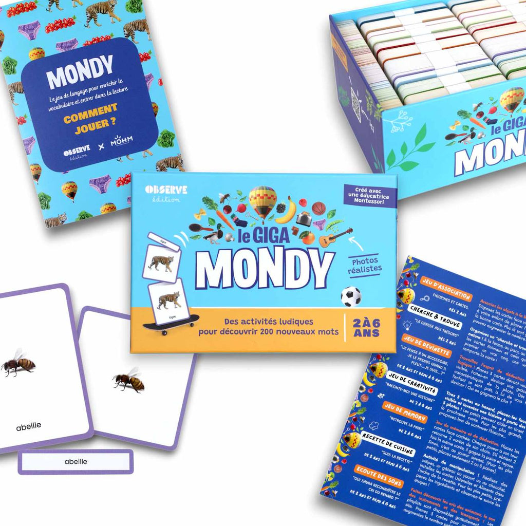 Giga mondy, cartes de nomenclature montessori multicolore