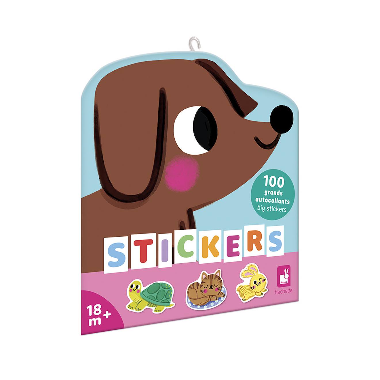 Gommettes les animaux de compagnie x100 multicolore