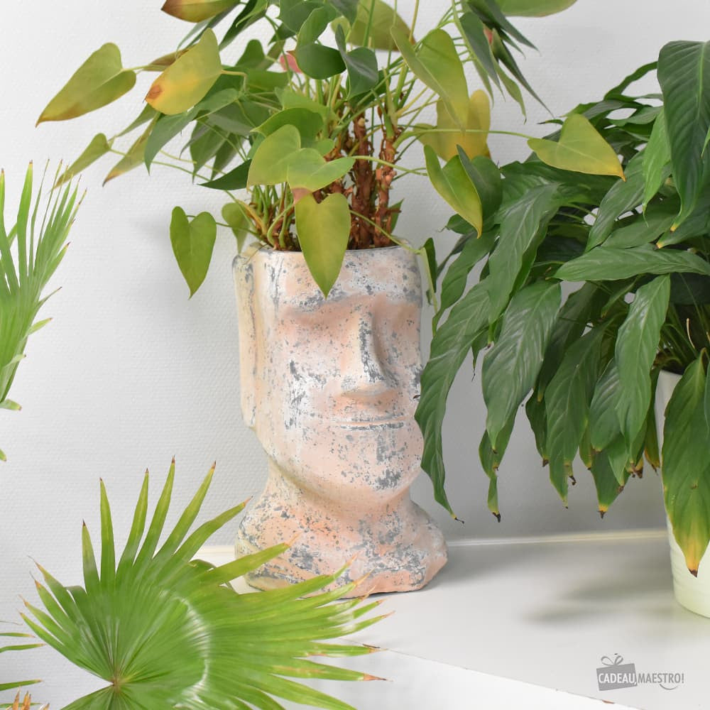 Grand Pot de Fleurs Moaï - Cache Pot Original