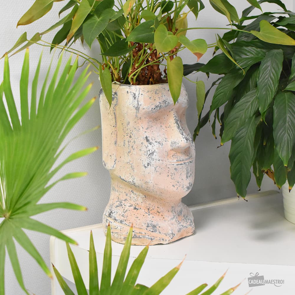 Grand Pot de Fleurs Moaï - Cache Pot Original