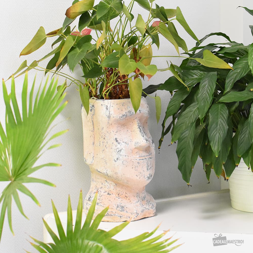 Grand Pot de Fleurs Moaï - Cache Pot Original