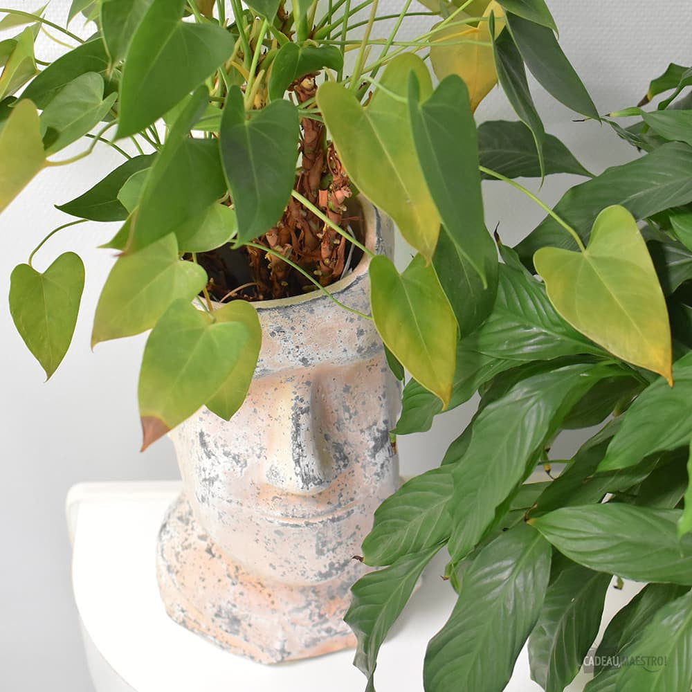 Grand Pot de Fleurs Moaï - Cache Pot Original
