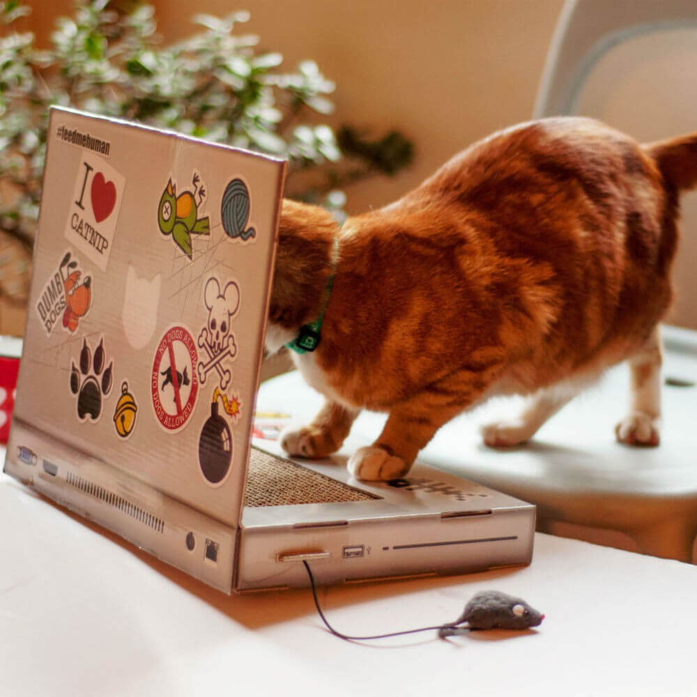 Grattoir pour Chat Ordinateur - Objet Déco Original
