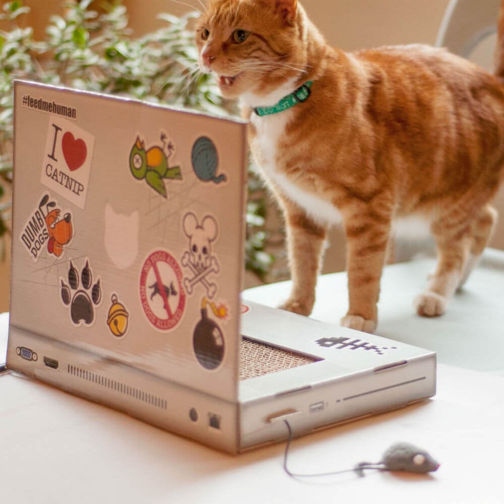Grattoir pour Chat Ordinateur - Objet Déco Original Suck Uk