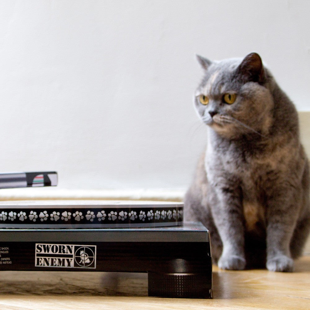 Grattoir pour Chat DJ - Objet Déco Original Suck Uk