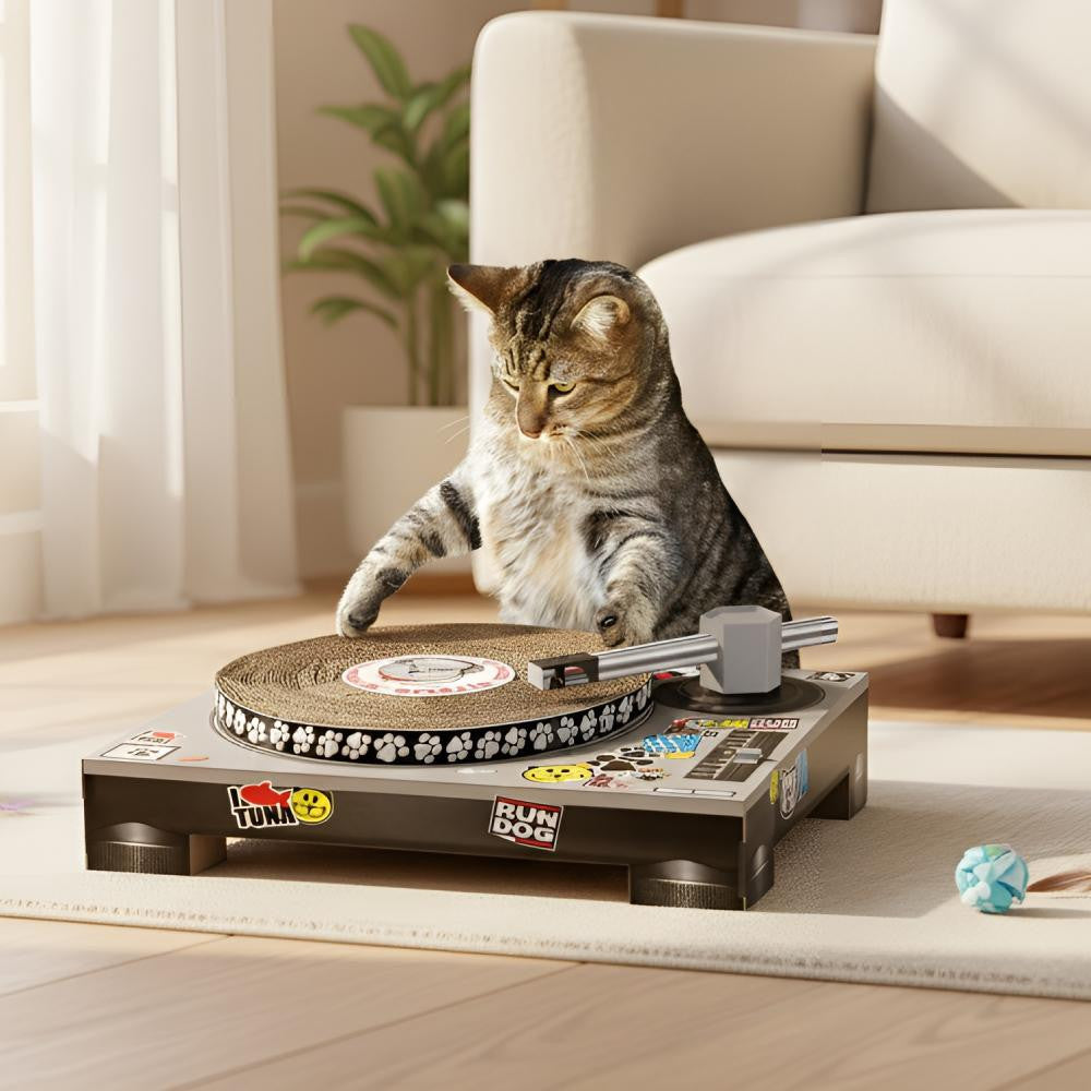 Grattoir pour Chat DJ - Objet Déco Original