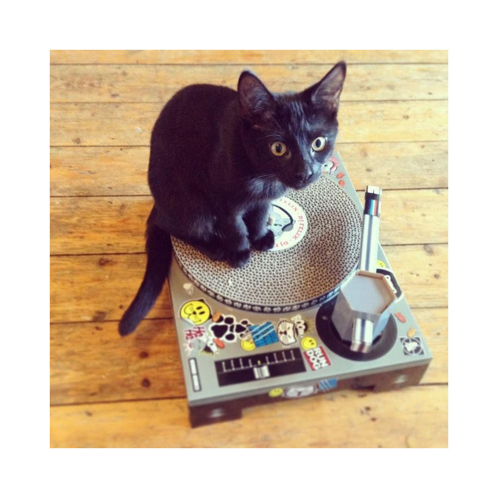 Grattoir pour Chat DJ - Objet Déco Original Suck Uk
