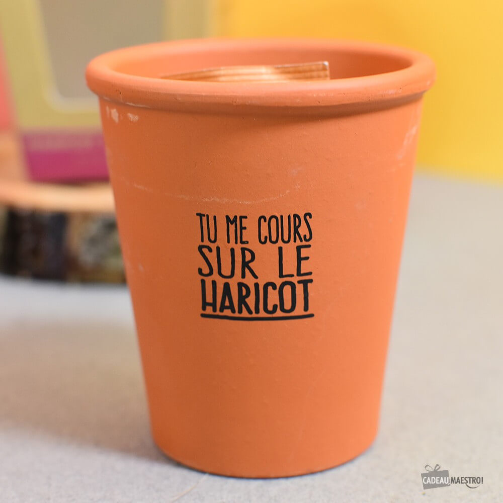 Haricot à Faire Pousser – Tu Me Cours Sur le Haricot - Kits de Plantation Radis et Capucine