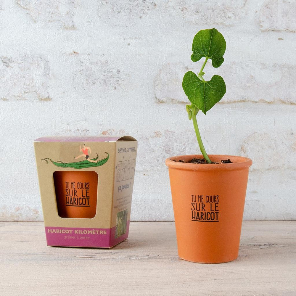Haricot à Faire Pousser – Tu Me Cours Sur le Haricot - Kits de Plantation Radis et Capucine