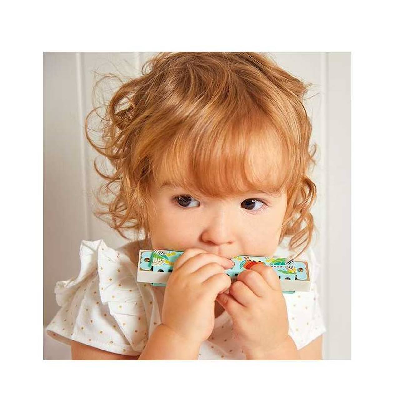 Harmonica gioia vert