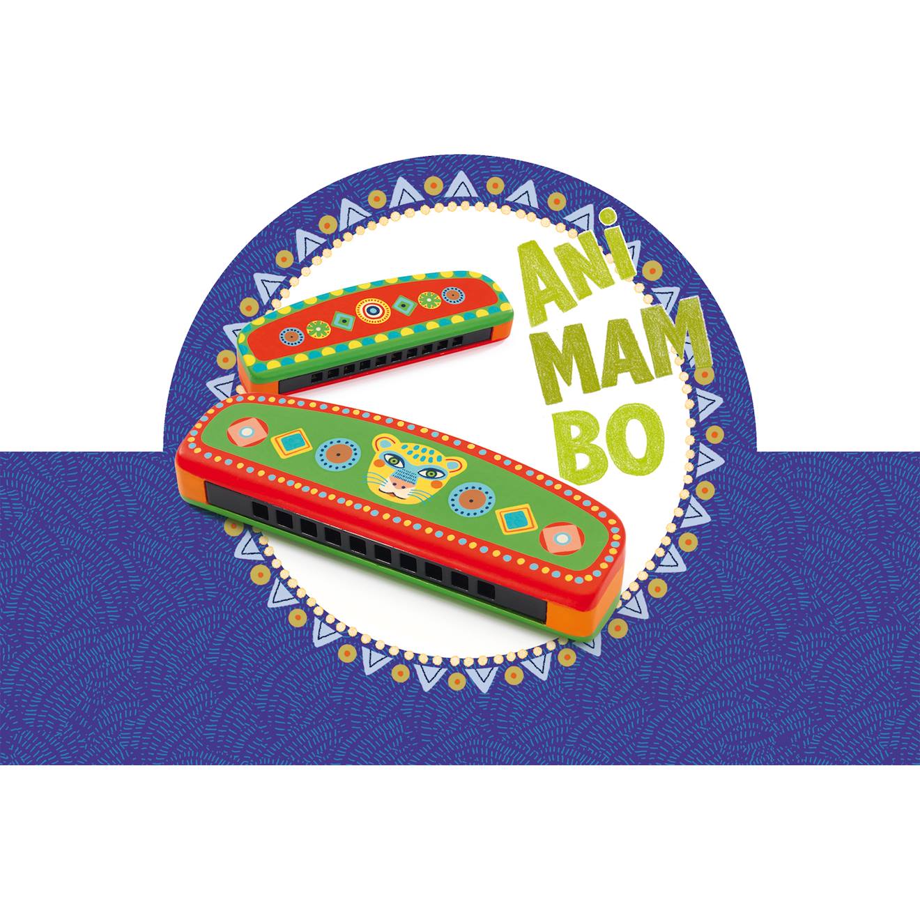 Harmonica multicolore