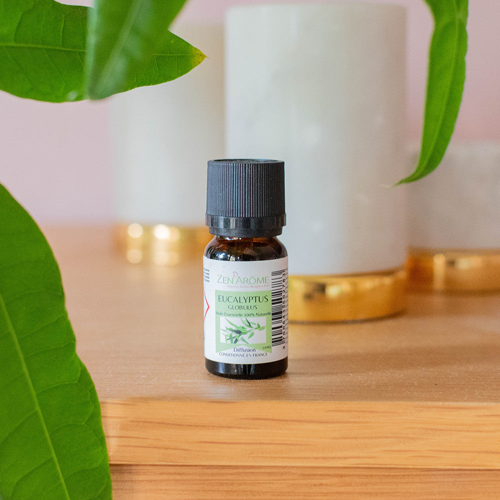 Huile Essentielle Naturelle Eucalyptus - Diffuseur Huiles Essentielles