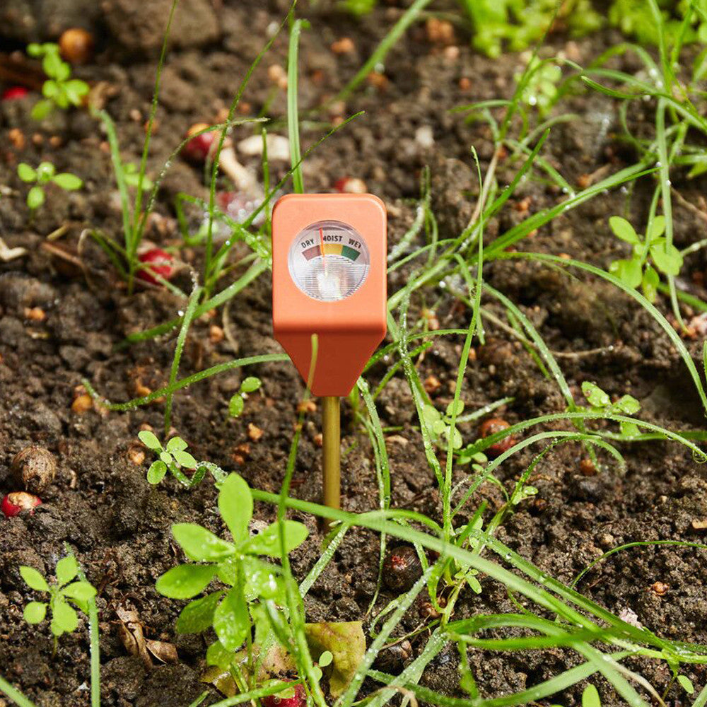 Hygromètre de Jardin et Plantes d'Intérieur - Pour Jardinier