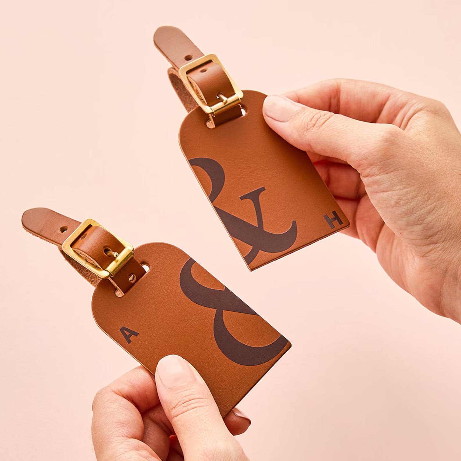 Ensemble d’étiquettes à bagage en cuir personnalisées