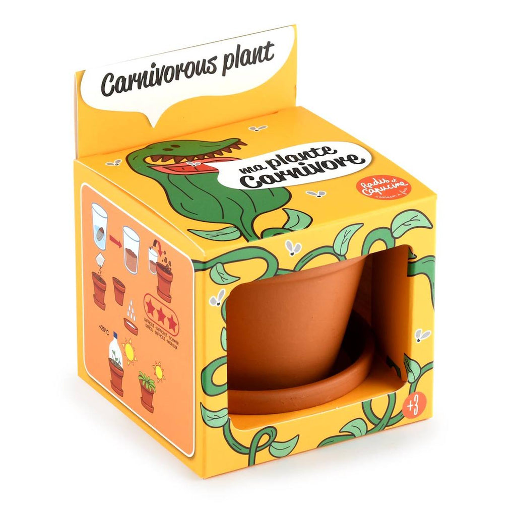 Je fais pousser ma plante carnivore marron