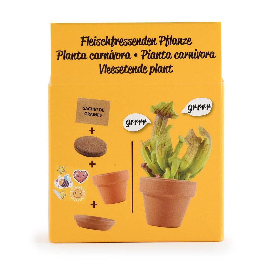 Je fais pousser ma plante carnivore marron