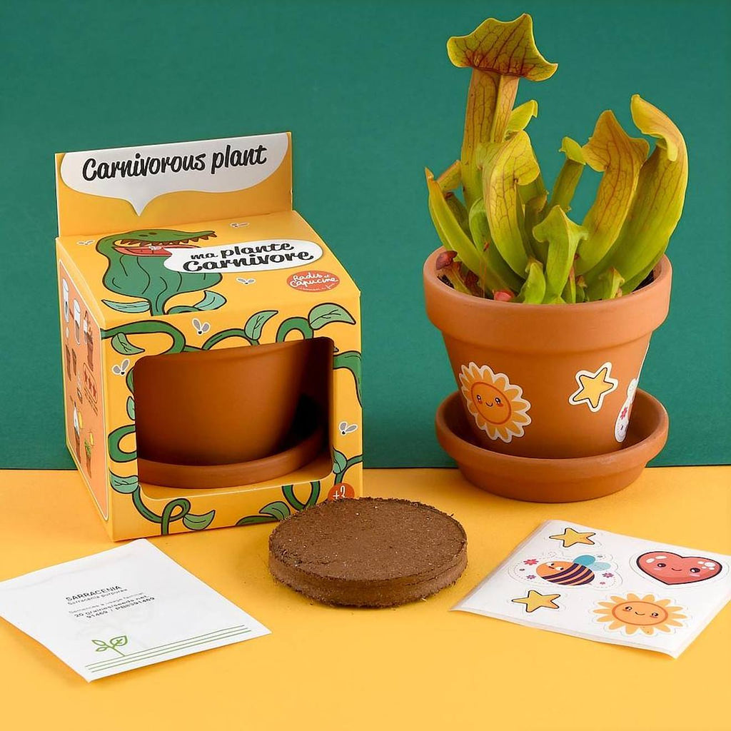 Je fais pousser ma plante carnivore marron