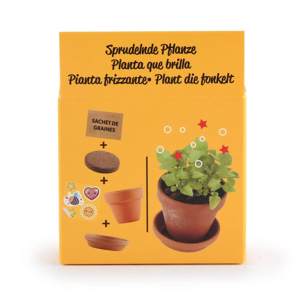 Je fais pousser ma plante qui pétille marron
