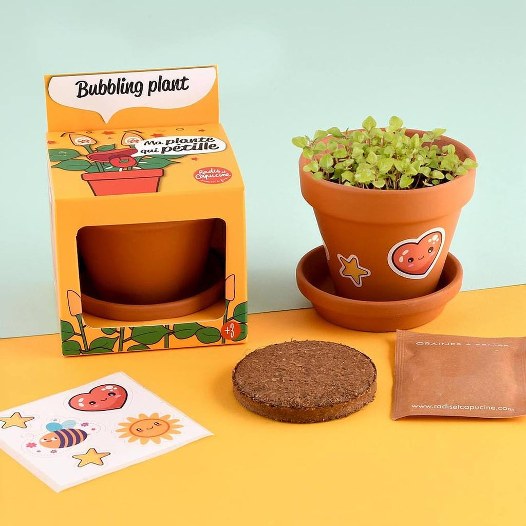 Je fais pousser ma plante qui pétille marron
