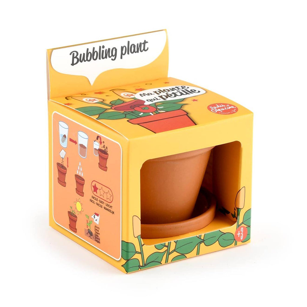 Je fais pousser ma plante qui pétille marron