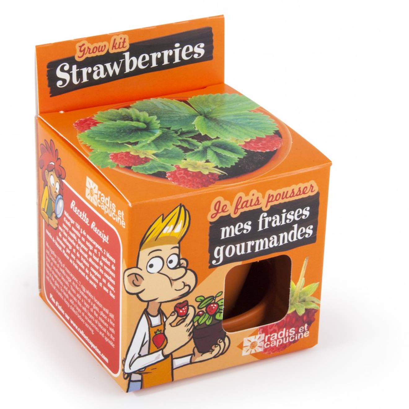 Je fais pousser mon fraisier marron
