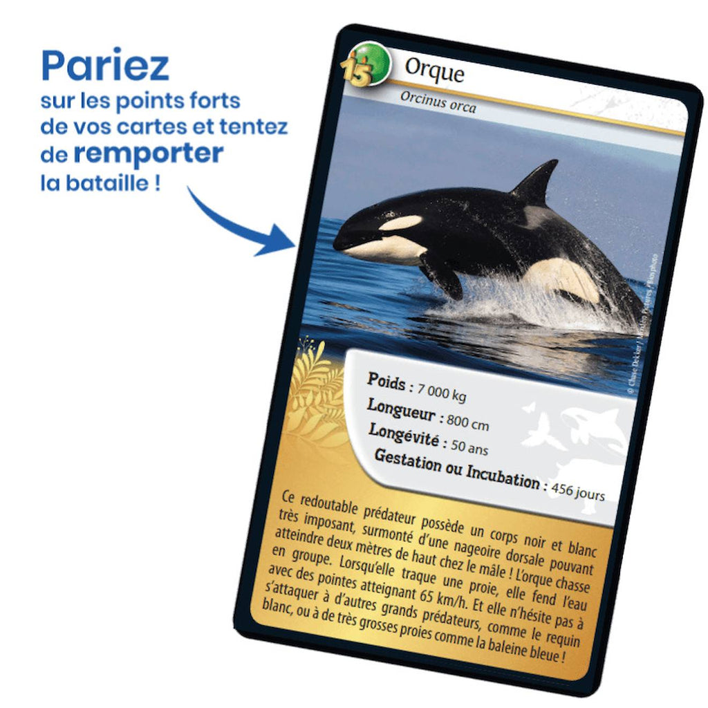 Jeu de cartes défis nature - 15ème anniversaire - fabriqué en france multicolore
