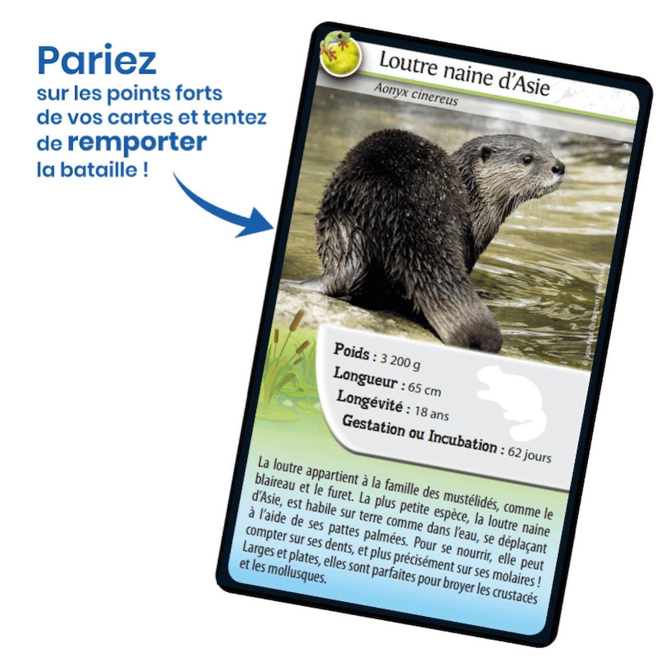 Jeu de cartes défis nature - animaux d'eau douce - fabriqué en france multicolore
