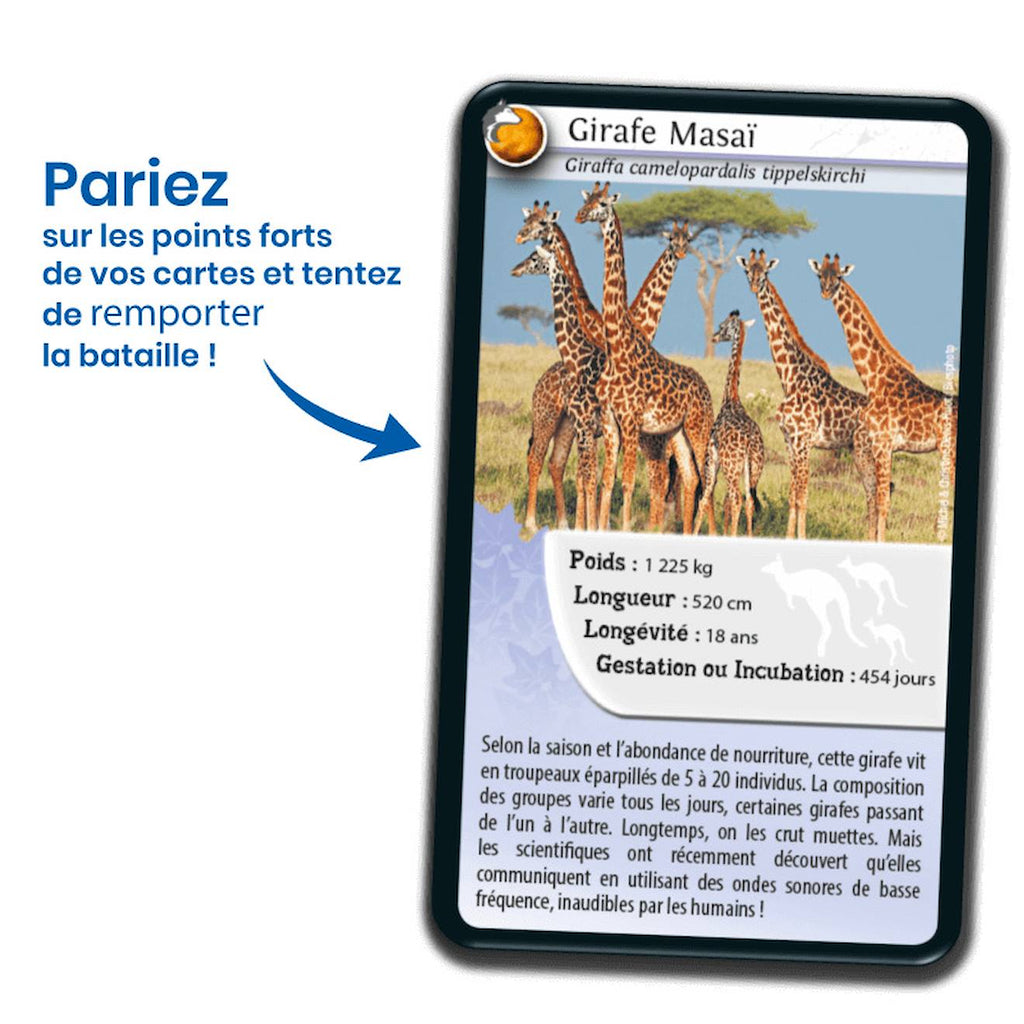 Jeu de cartes défis nature - animaux inséparables - fabriqué en france multicolore