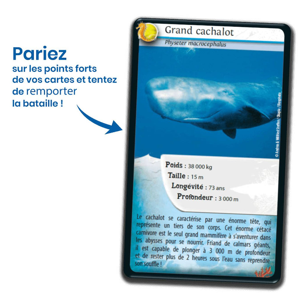 Jeu de cartes défis nature - animaux marins - fabriqué en france multicolore