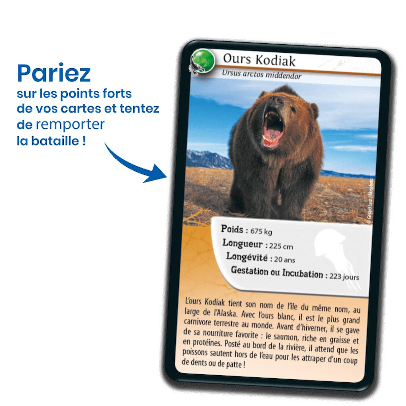 Jeu de cartes défis nature - animaux redoutables - fabriqué en france multicolore