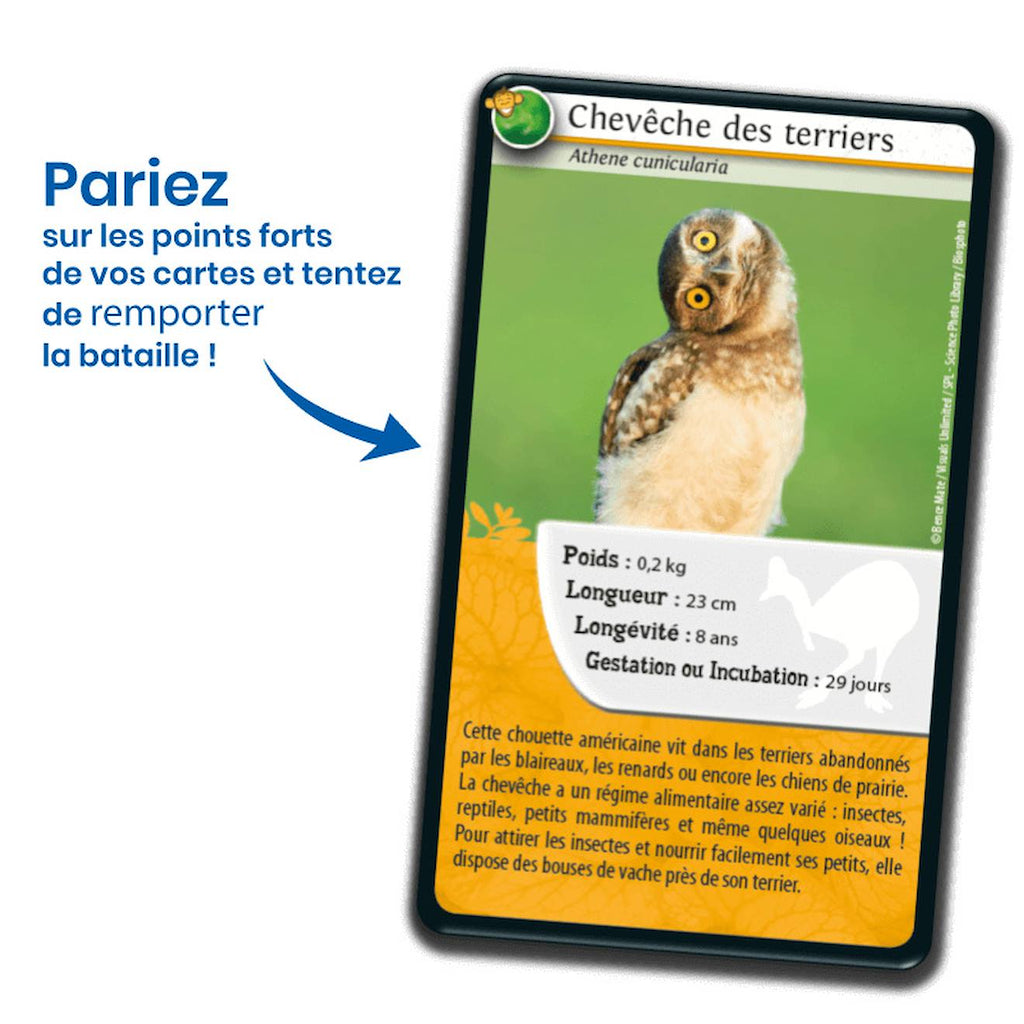 Jeu de cartes défis nature - animaux rigolos - fabriqué en france multicolore