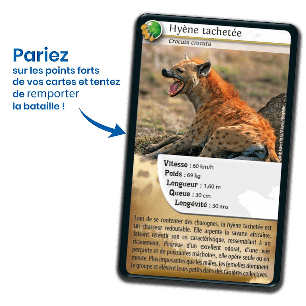 Jeu de cartes défis nature - carnivores - fabriqué en france multicolore