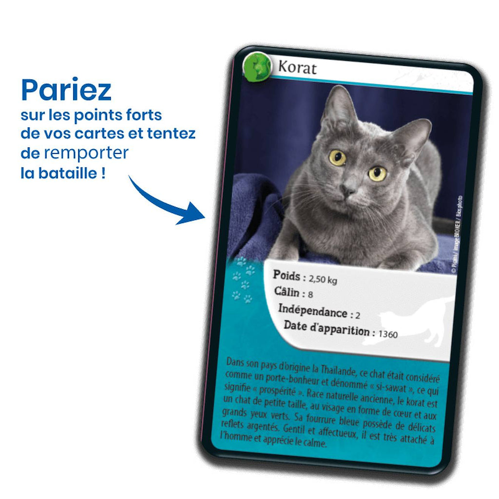 Jeu de cartes défis nature - chats - fabriqué en france multicolore