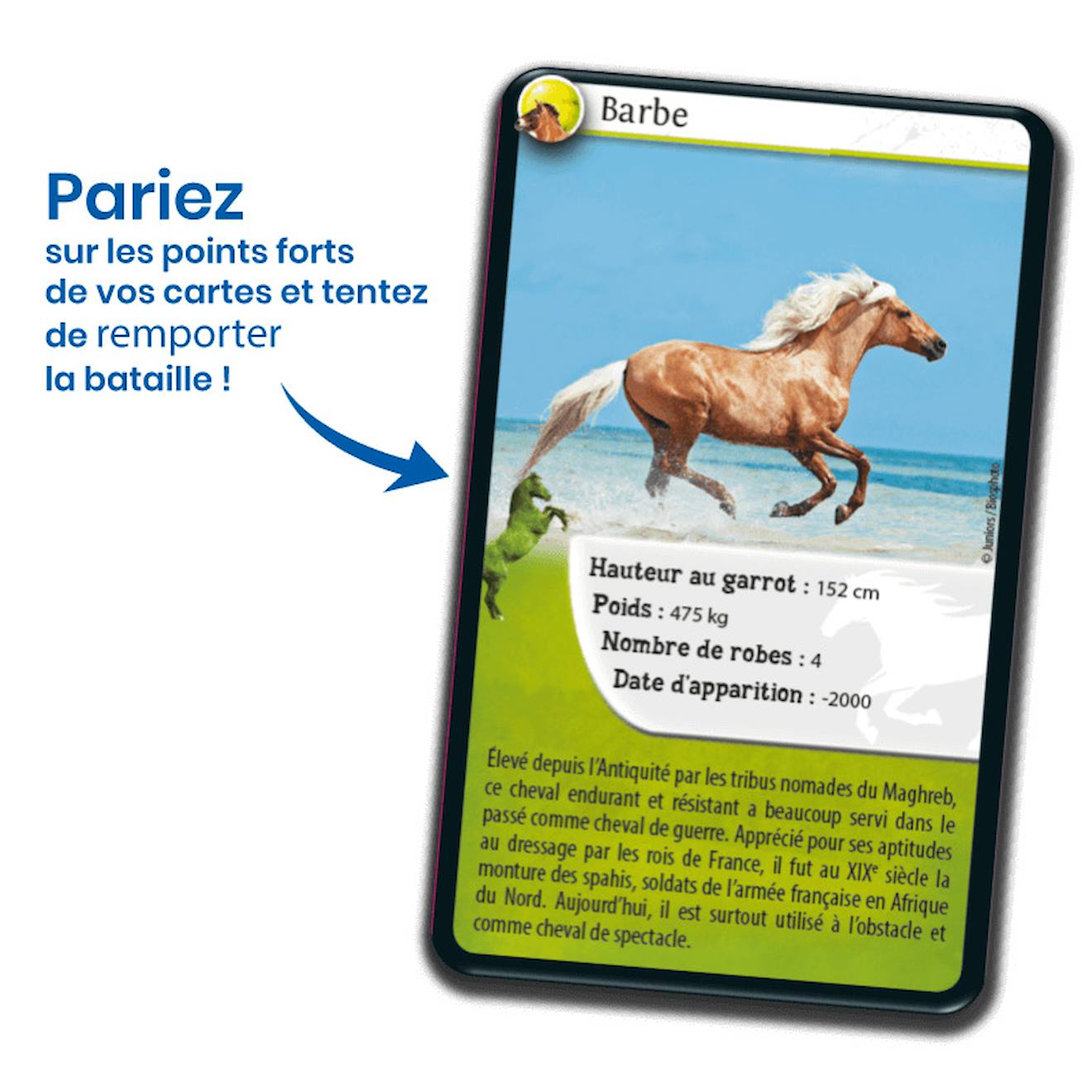 Jeu de cartes défis nature - chevaux - fabriqué en france multicolore