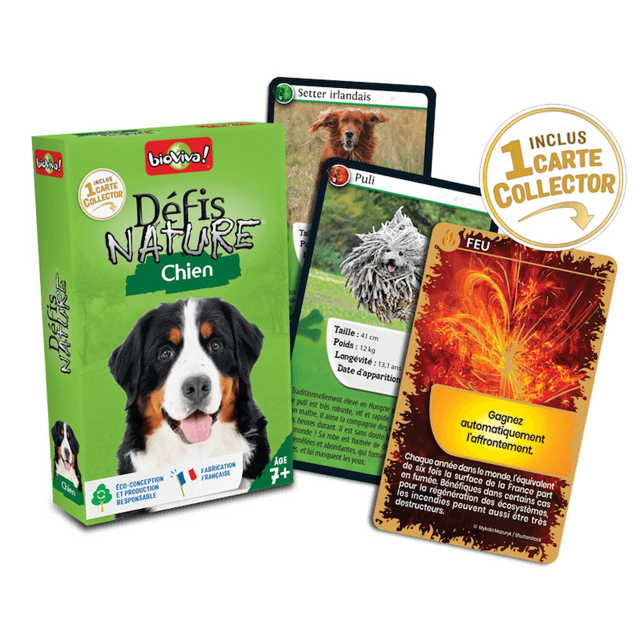Jeu de cartes défis nature - chiens - fabriqué en france multicolore