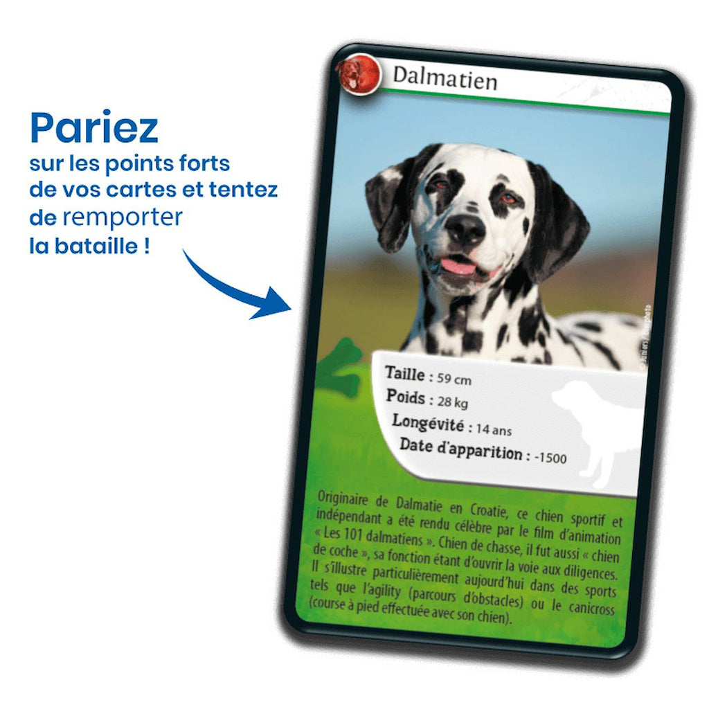 Jeu de cartes défis nature - chiens - fabriqué en france multicolore