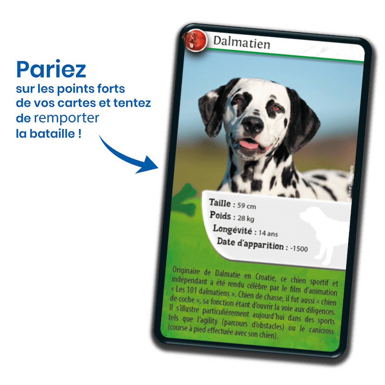 Jeu de cartes défis nature - chiens - fabriqué en france multicolore