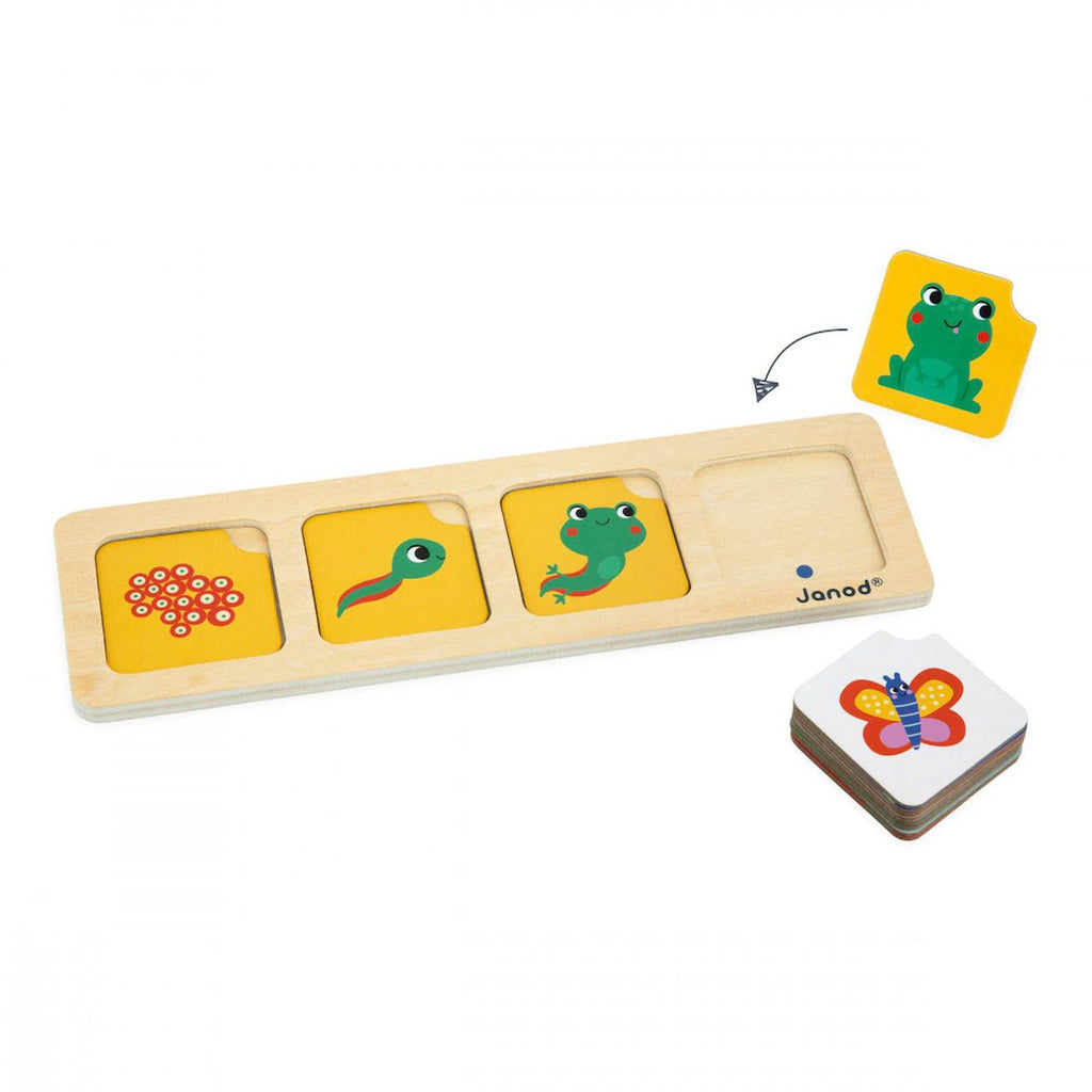 Jeu pédagogique, cartes séquences le jardin multicolore