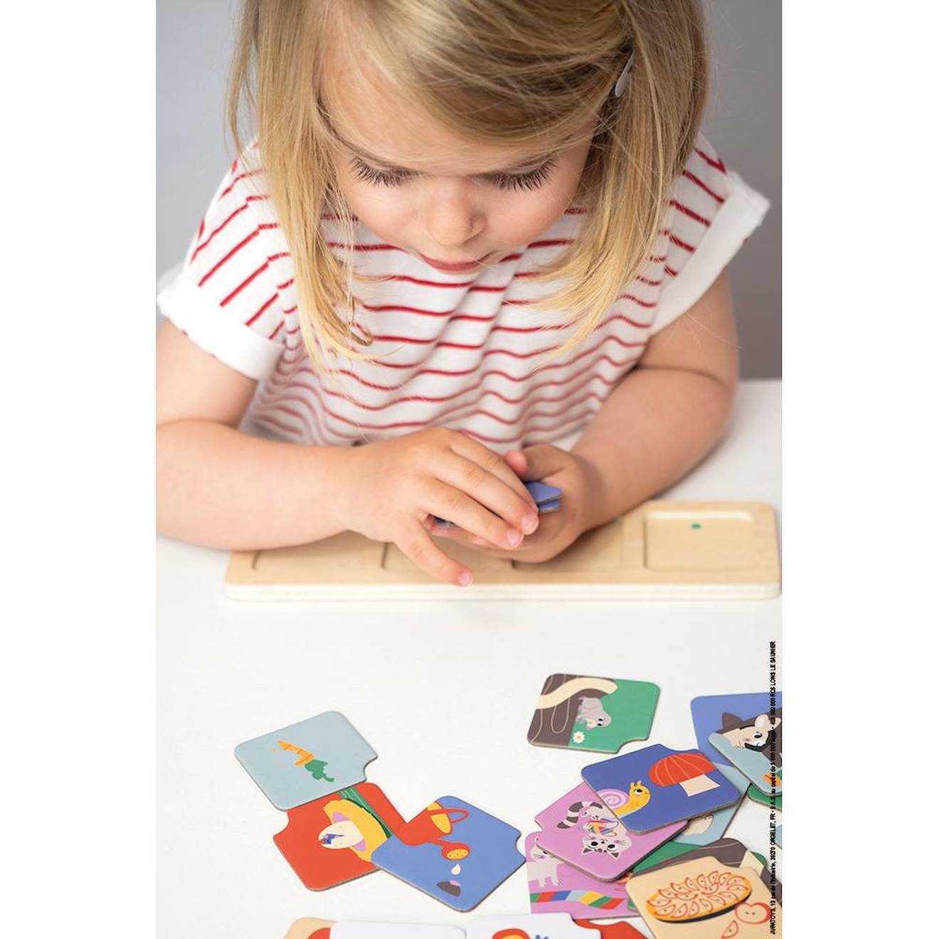 Jeu pédagogique, cartes séquences le jardin multicolore
