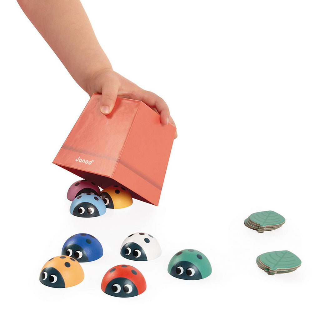 Jeu pédagogique de mémoire, les coccinelle multicolore