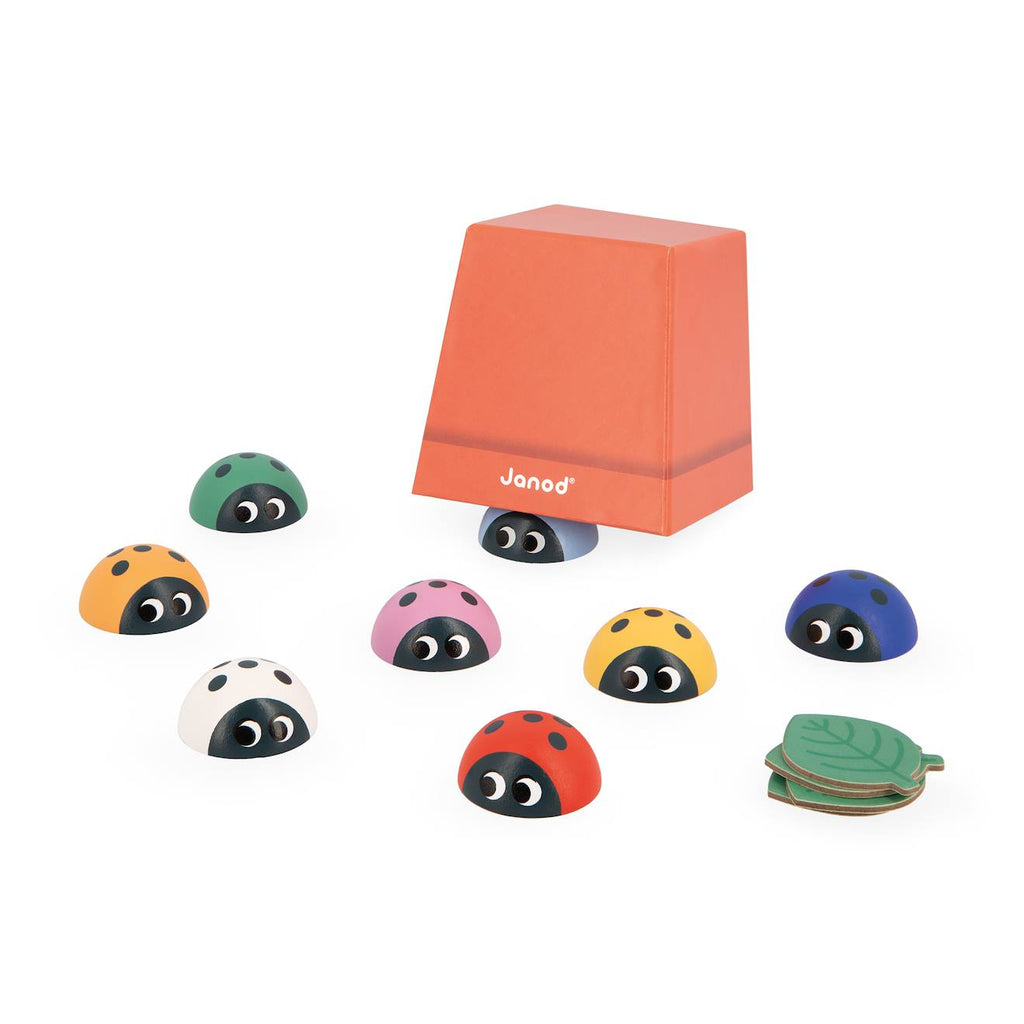 Jeu pédagogique de mémoire, les coccinelle multicolore