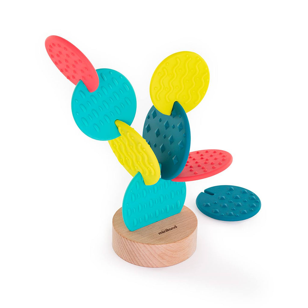 Jouet sensoriel en forme de cactus vert