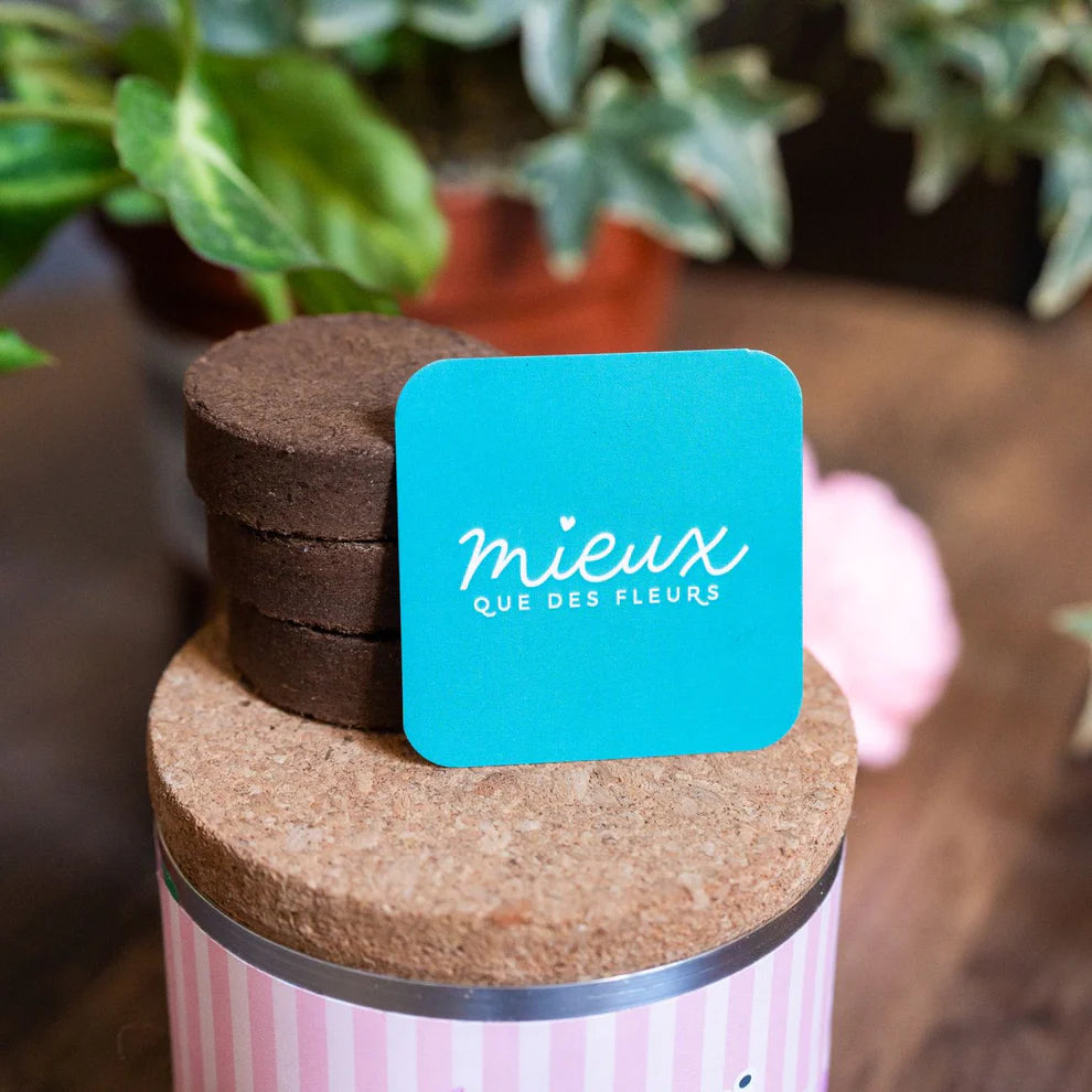 Kit à planter Merci pour cette année