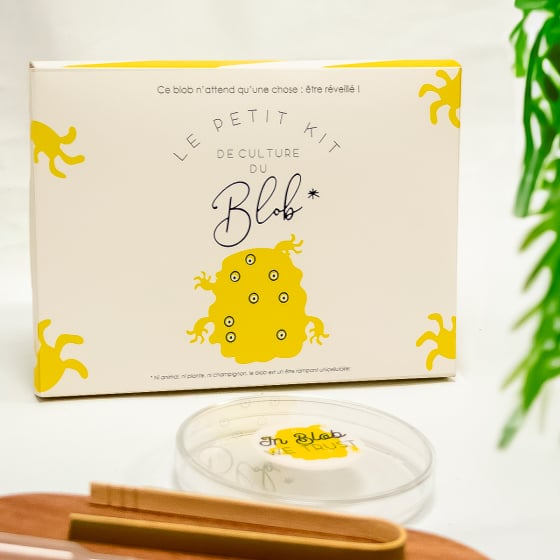 Kit Culture de Blob Pamela Loops