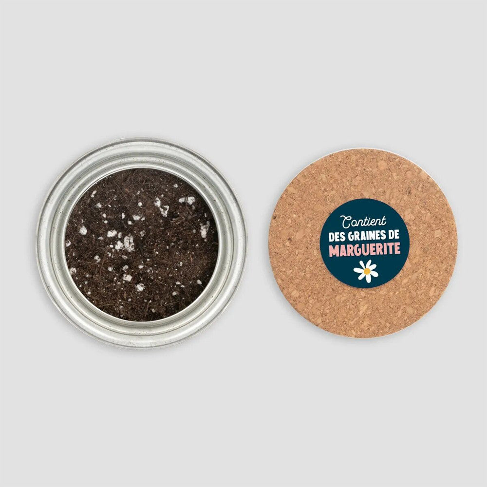 Kit de Plantation "Cultive Ton Bonheur" - Kits de Plantation