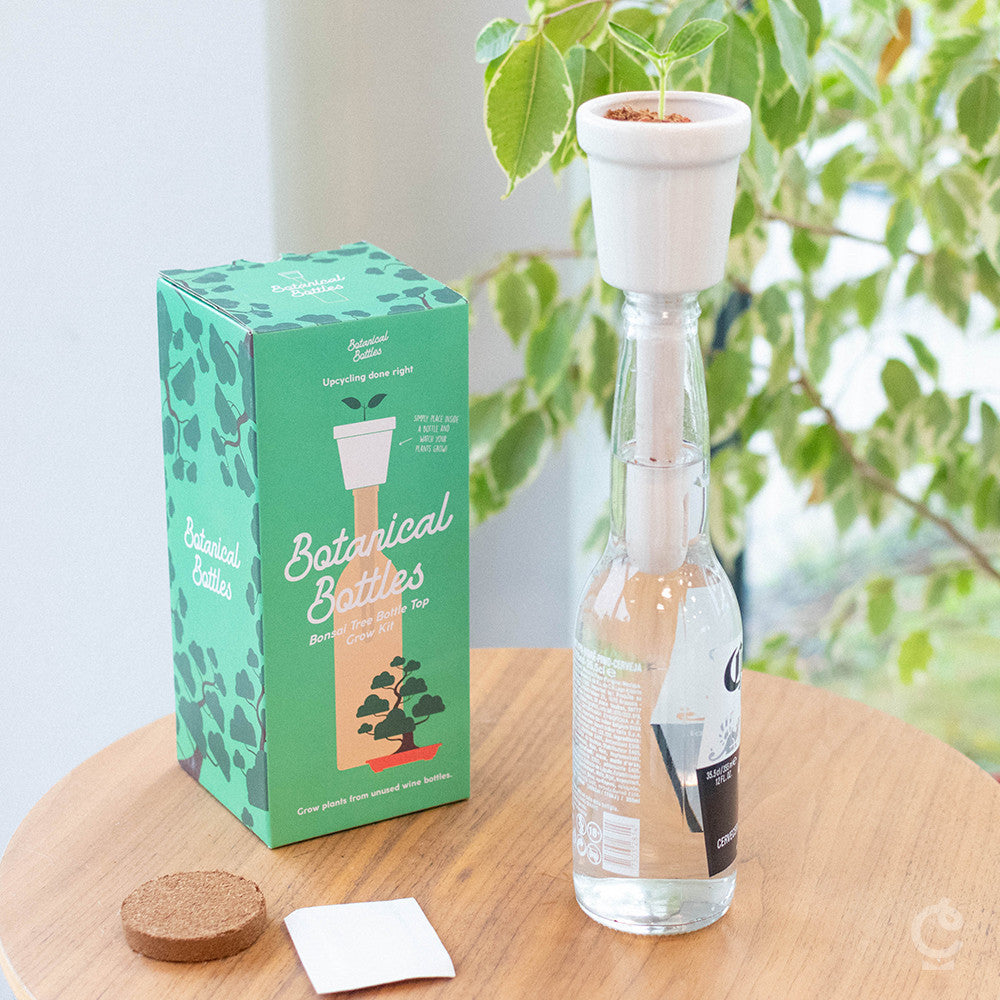 Kit de Plantation de Bonsai en Bouteille - Kits de Plantation