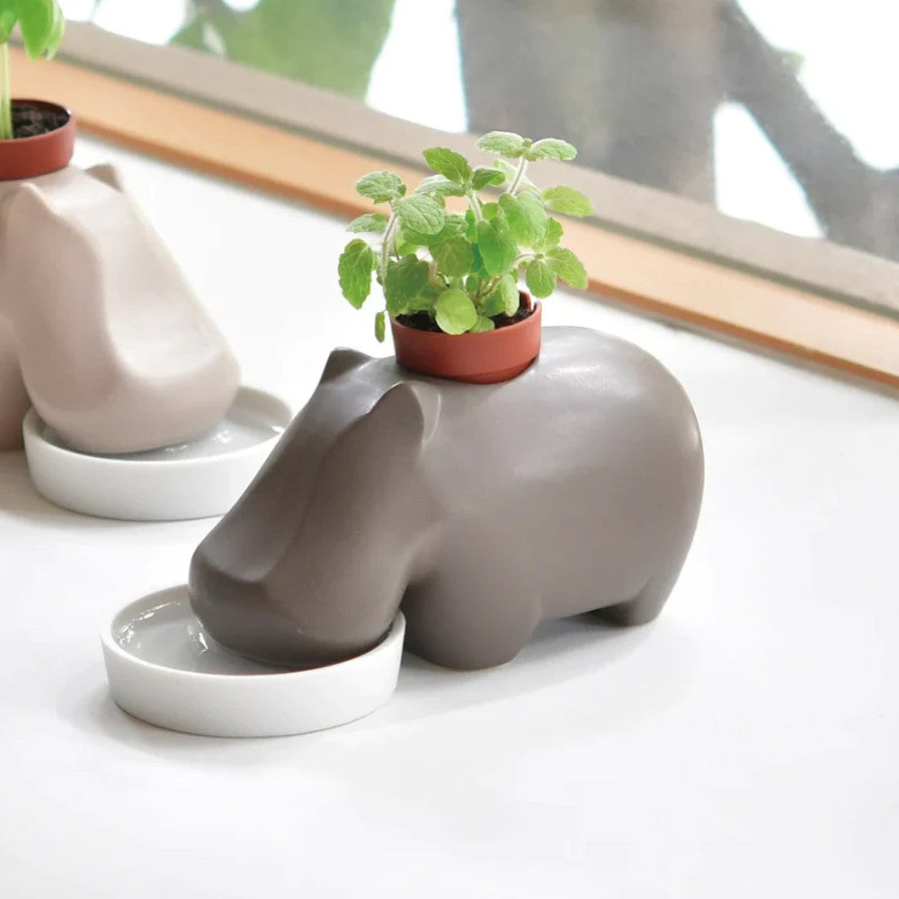 Kit de Plantation Hippopotame Brun - Kits de Plantation