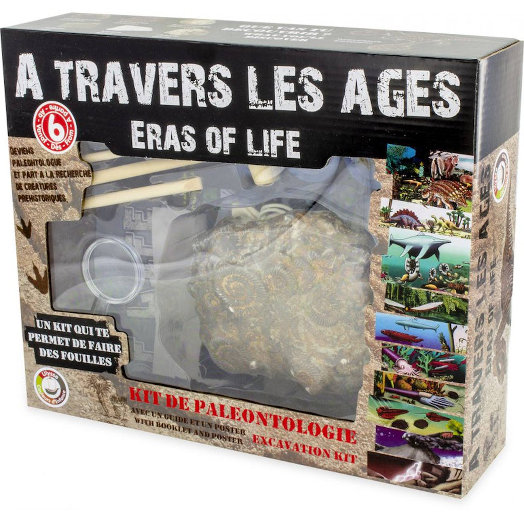 Kit paleo - a travers les âges noir