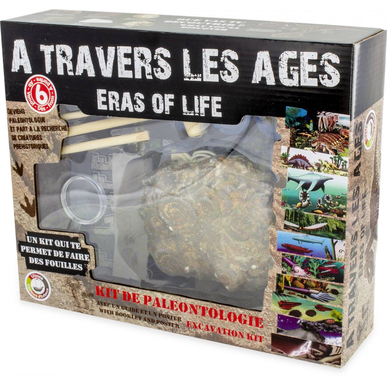 Kit paleo - a travers les âges noir