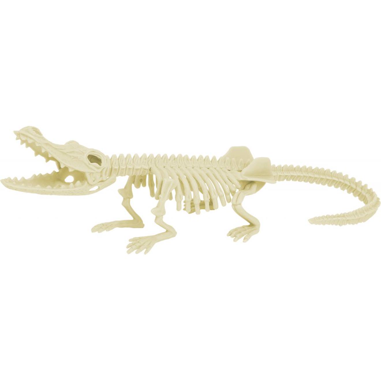 Kit paleo - crocodile gris